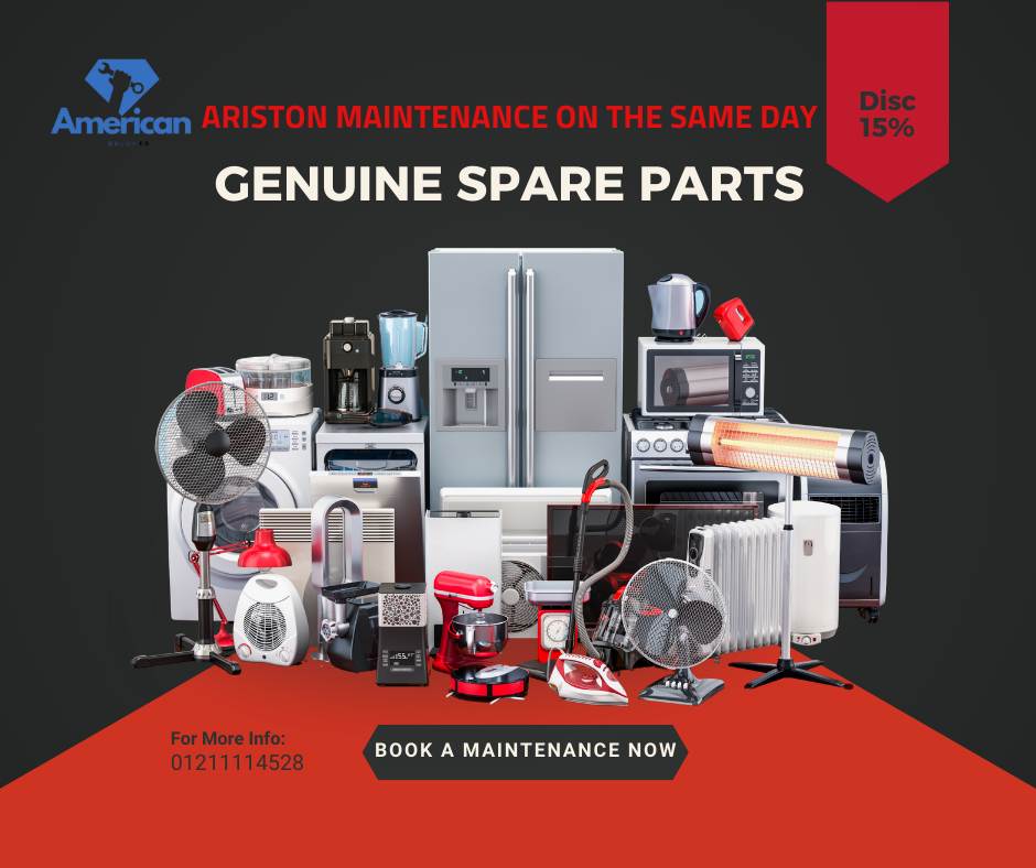 Ariston Maintenance Technician